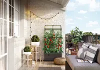 Dyrkingsboks Cityjungle med espalier