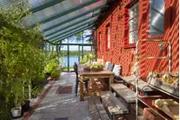 Tropic Mural 308
