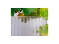 Polykarbonatplate 6 mm