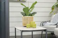 Dandelion Sofabord