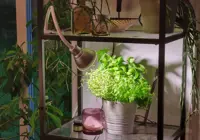 Plantelampe Flexia