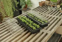 Minidrivhus for vinduskarm – 2-pakning