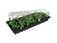 Minigro med 30 krukker