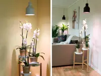 Vekstarmatur til LED-lampe