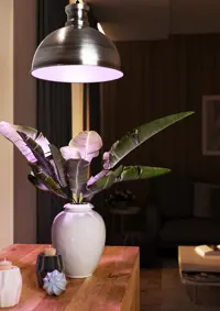 Plantebelysning Florabooster 500