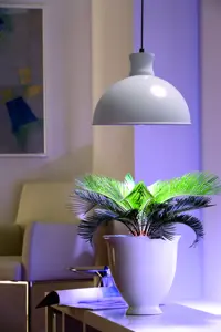 Plantebelysning Florabooster 500