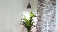 Vekstlampe Standard