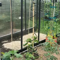 Rank-o-twist for tomatplanter