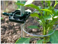 Rank-o-flex for tomatplanter