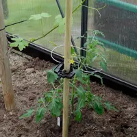 Rank-o-flex for tomatplanter